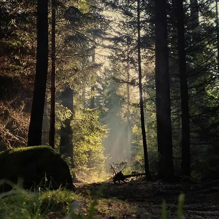 Juliusz Slowacki 6 Apartment *