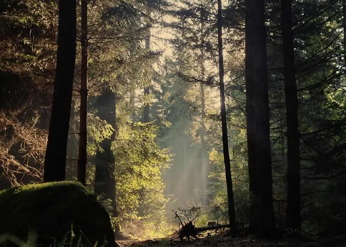 Słowackiego 6 Apartament *